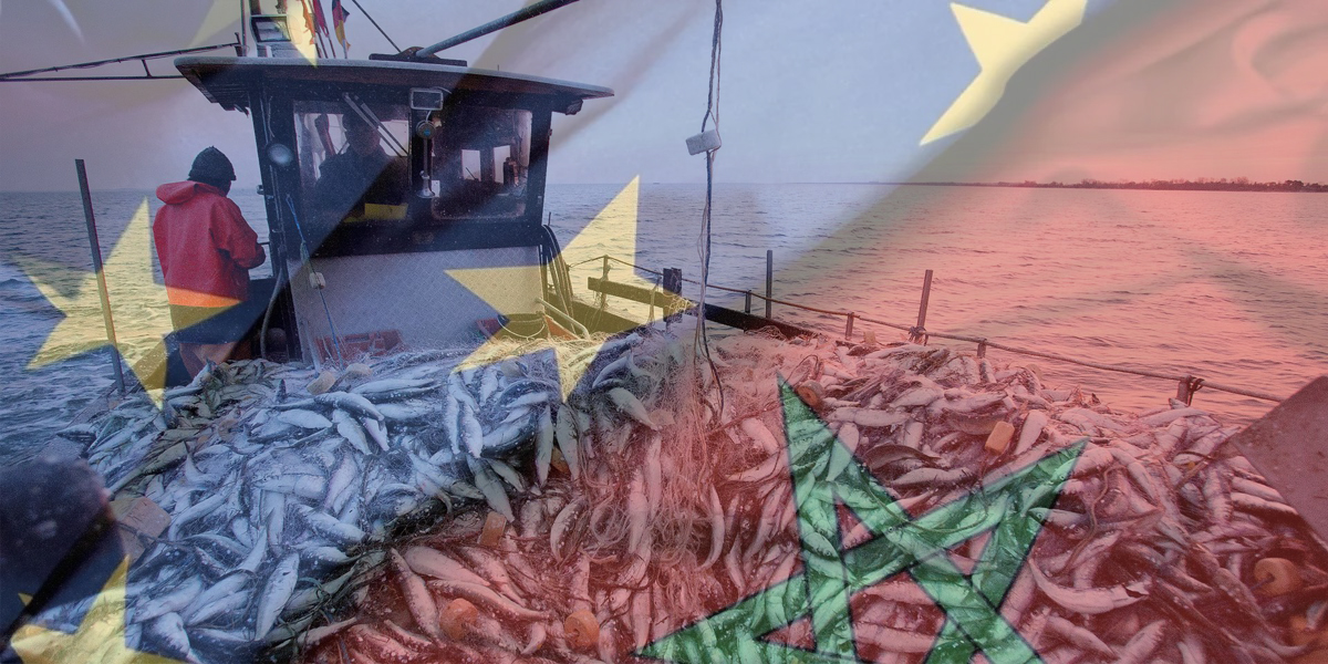Maroc-UE : L’avocate générale demande l’annulation de l’accord de pêche